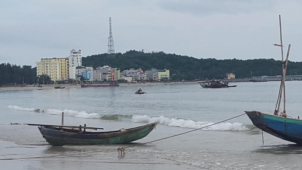 Quảng Ninh: Quy hoạch Công viên Tùng trên đảo Cô Tô