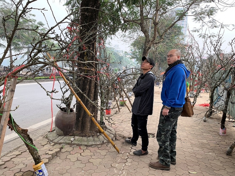 trang tinh khoi sac hoa le tren duong pho ha noi