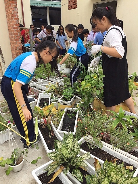 tre em tai thanh pho ho chi minh tim hieu ve hau qua cua o nhiem moi truong