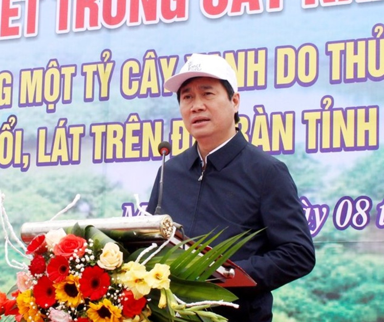 quang ninh khoi phuc cay rung ban dia than go lon