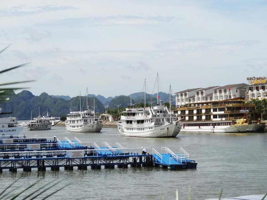 Quảng Ninh: Sẵn sàng phương án đón các chuyến bay từ châu Âu đưa người Việt Nam về nước