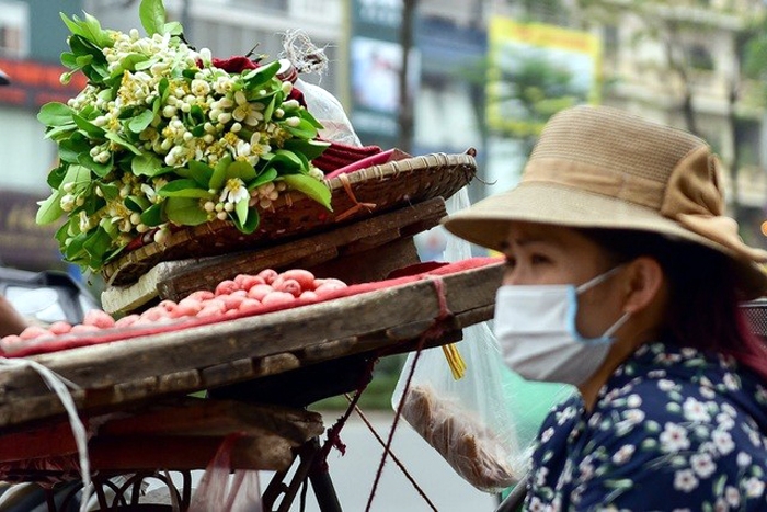 Tiếng rao mùa dịch