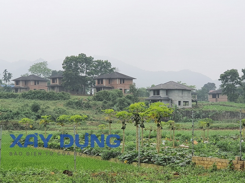 ba vi ha noi hang loat vi pham trong quan ly dat dai trat tu xay dung tai xa yen bai