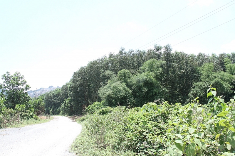 thanh hoa co hay khong viec ubnd xa yen lam ep doanh nghiep trong den bu giai phong mat bang va khuat tat trong cap so do cho vo bi thu xa