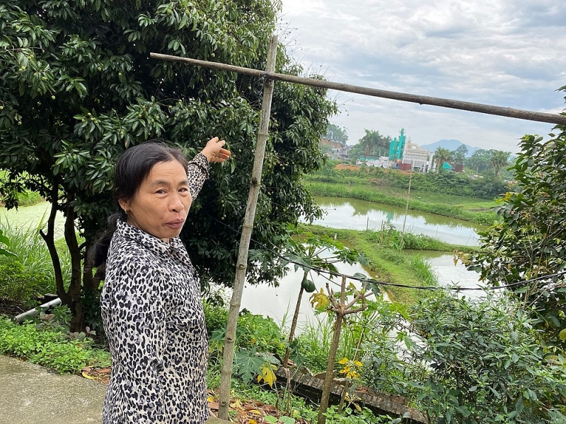 phu tho tram tron be tong asphalt khong phep hanh dan