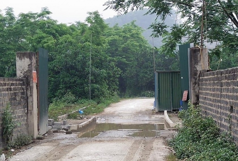 yen lap phu tho trai lon van hanh dan du da bi xu phat