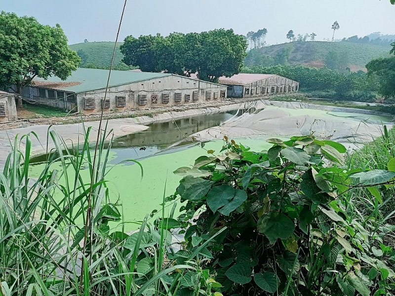 yen lap phu tho trai lon van hanh dan du da bi xu phat