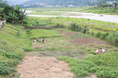 Khu tái định cư thủy điện Lai Châu: Vẫn thiếu đất sản xuất trầm trọng