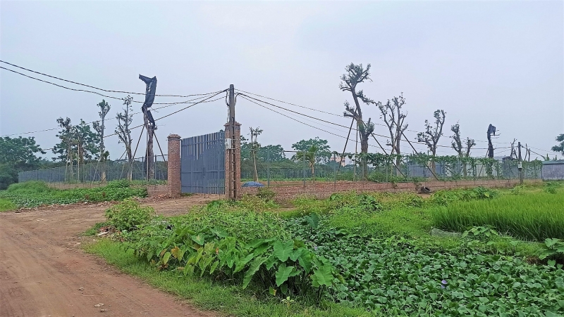 thuong tin ha noi chinh quyen co lam ngo truoc nhung vi pham trat tu xay dung tren dat nong nghiep tai xa ninh so