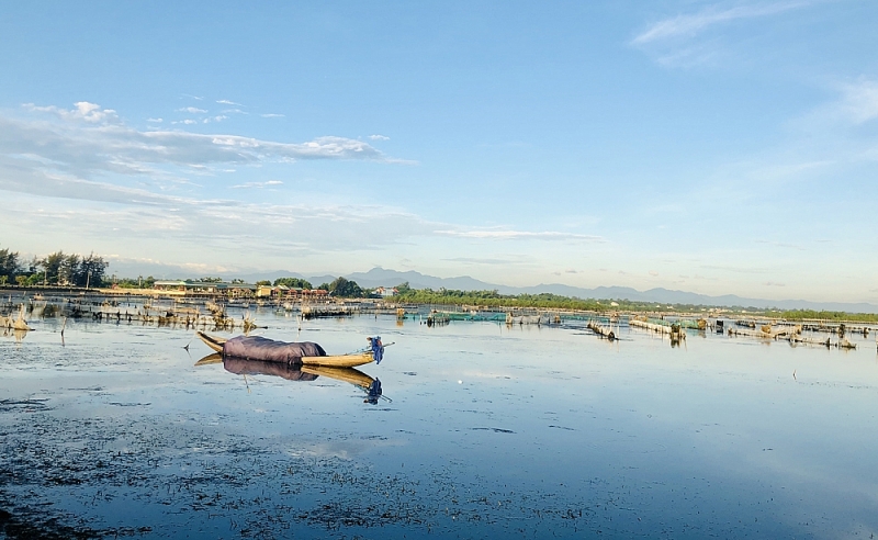 thua thien hue thanh lap khu bao ton thien nhien dat ngap nguoc tam giang cau hai