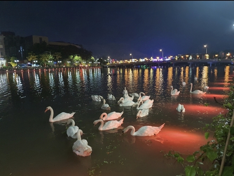 hong bang hai phong nhung chu thien nga tren dong song tam bac hien gio ra sao