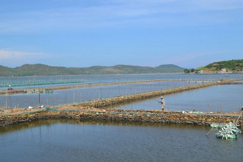 thi xa quang yen quang ninh nhieu bat thuong trong qua trinh kiem ke den bu giai phong mat bang