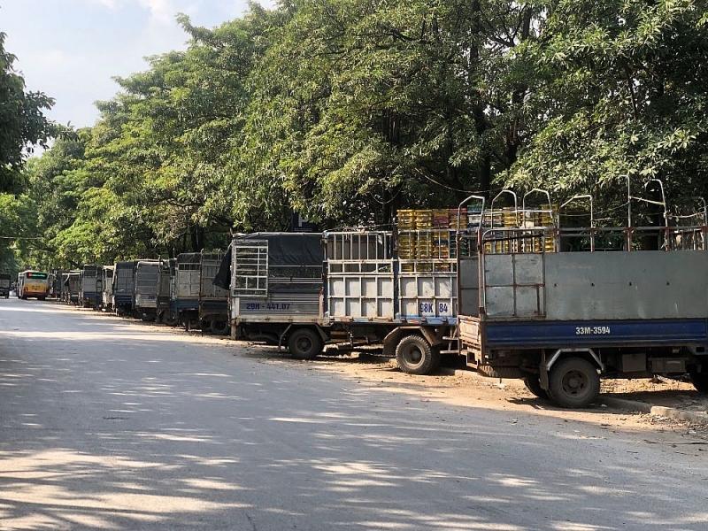 ha noi nhech nhac hai ben bo song kim nguu