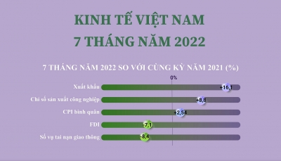 Tình hình kinh tế Việt Nam trong 7 tháng năm 2022