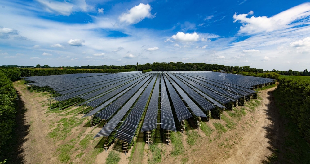 Công ty năng lượng Hà Lan phát triển pin mặt trời đặc biệt cho nông nghiệp