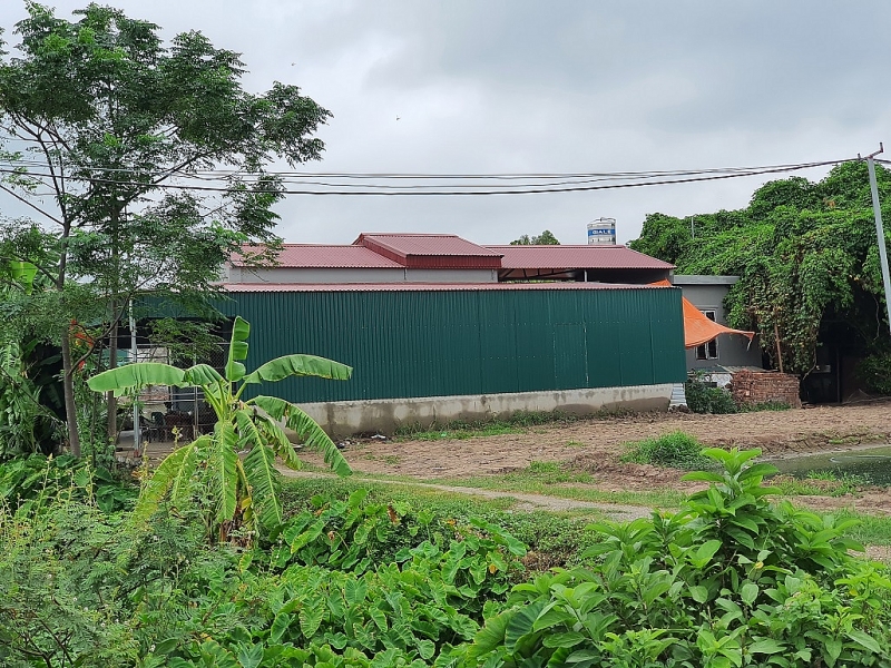 tu ky hai duong hang nghin m2 ao dau thau tai xa dan chu bi san lap trai phep