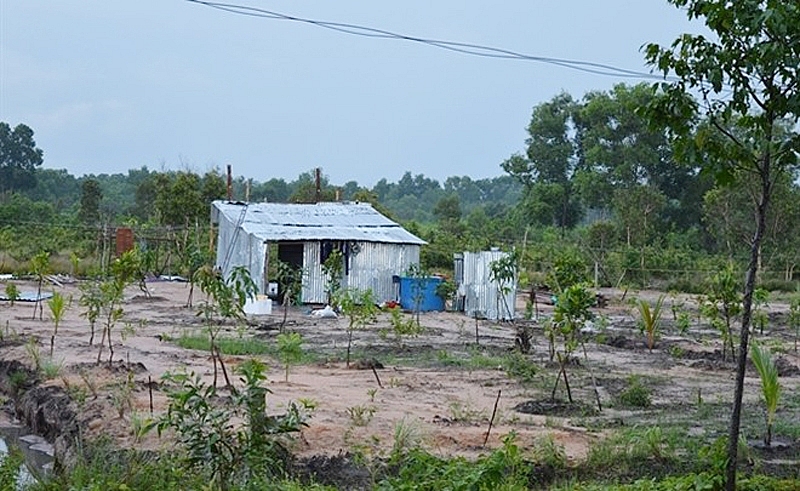 dat trong cay hang nam co xay dung nha o duoc xac dinh la loai dat gi