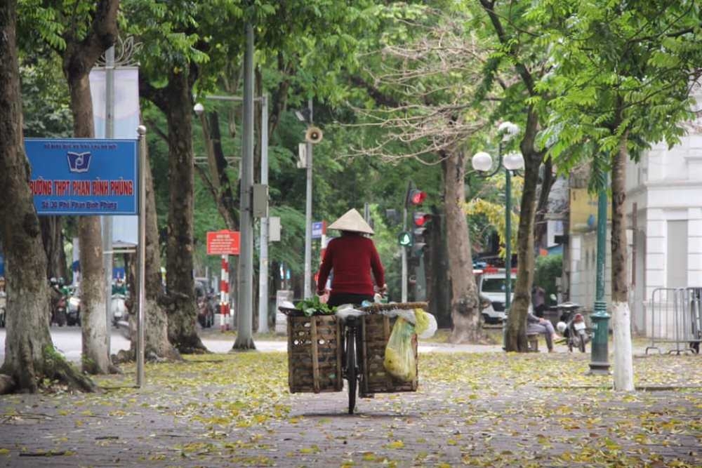 ha noi mua la rot tren vai