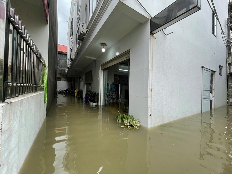 hai phong pho bong hoa song nguoi dan chat vat moi mua mua bao