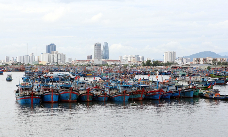 Đà Nẵng: Thực hiện các biện pháp phòng, chống bão, hạn chế thấp nhất các thiệt hại