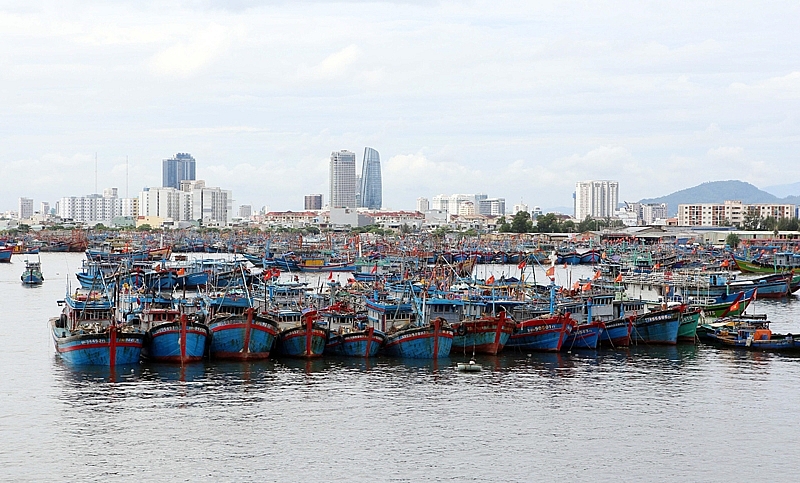 da nang thuc hien cac bien phap phong chong bao han che thap nhat cac thiet hai