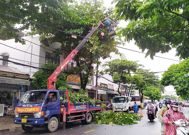 da nang thuc hien cac bien phap phong chong bao han che thap nhat cac thiet hai