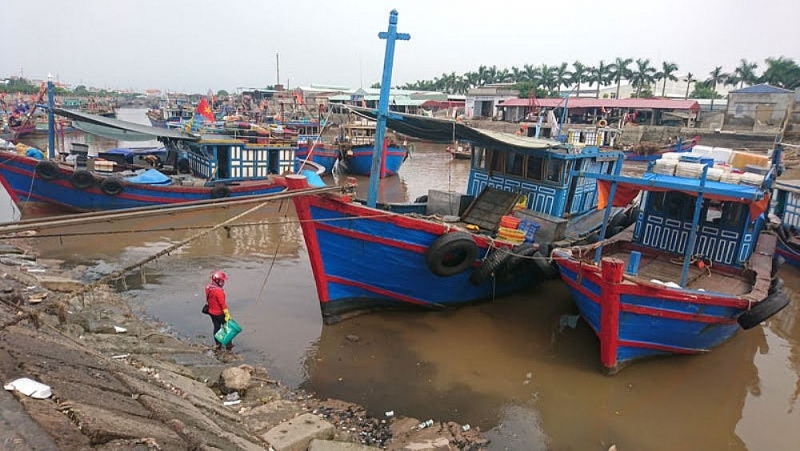 hai phong de xuat dau tu du an sua chua nang cap cang ca ngoc hai