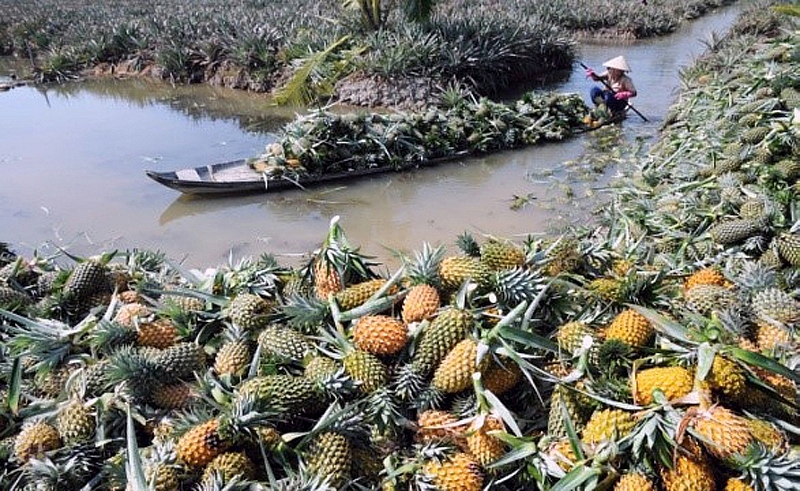 hau giang moi goi trai nghiem kham pha thien nhien