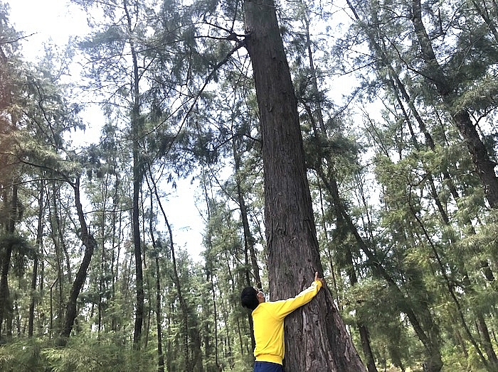 qua ng nga i muo n ha ru ng pho ng ho ven bien de lam duong