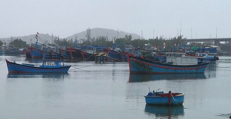 ninh thuan di doi hang nghin nguoi dan den noi an toan de phong tranh bao so 12