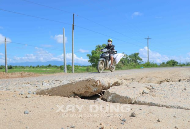 ninh thuan cac chu dau tu du an dien gio dien mat troi tho o viec sua duong cho dan