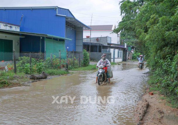 ninh thuan cac chu dau tu du an dien gio dien mat troi tho o viec sua duong cho dan