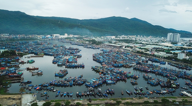 da nang thanh tra ve quan ly tai chinh mua sam su dung tai san cong tai ban quan ly au thuyen va cang ca tho quang